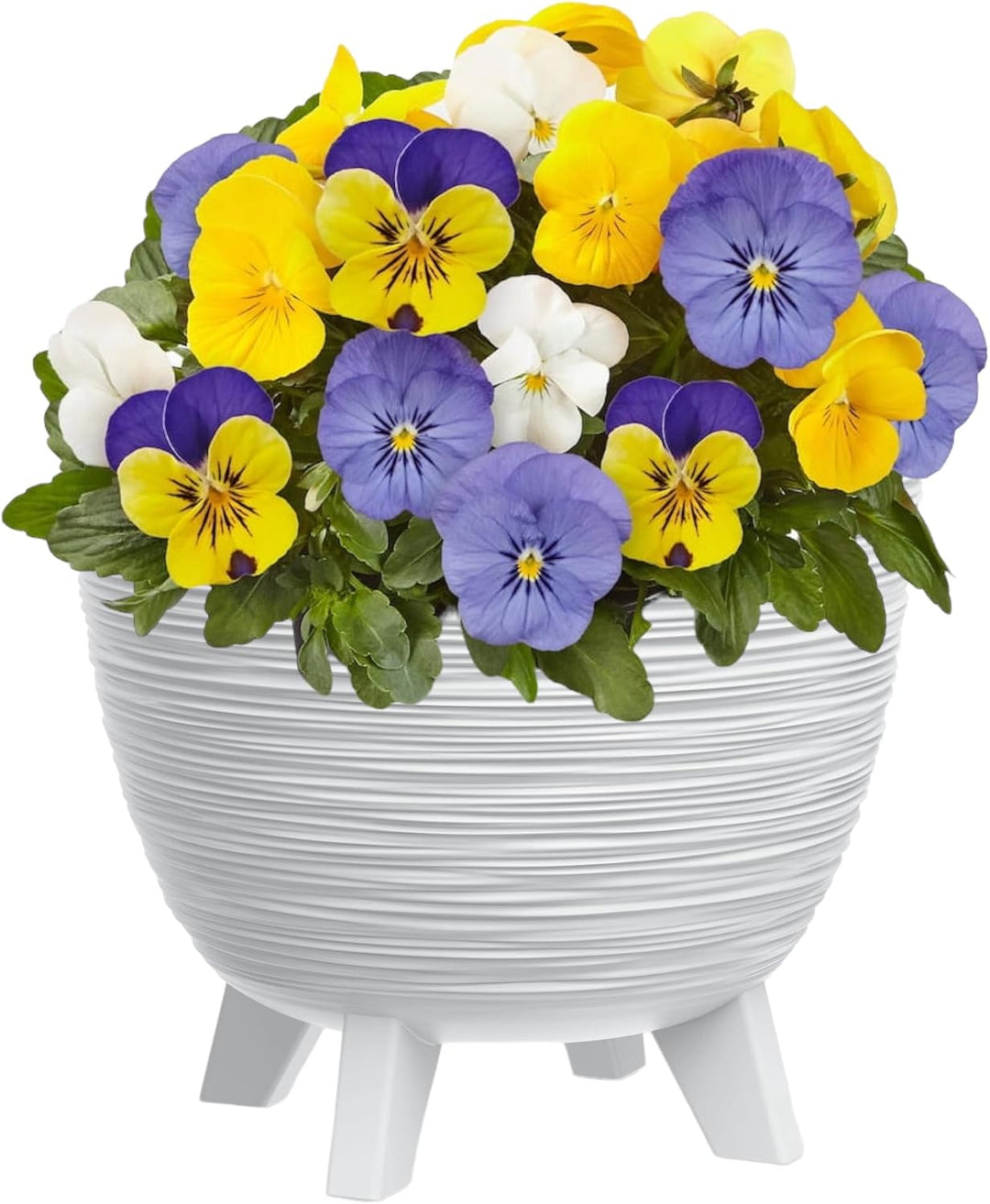 MELTOM Blumentopf mit Füssen aus Kunststoff Schale Rund Kräutertopf 3D Rillen (Weiss, M-29cm) M-29cm