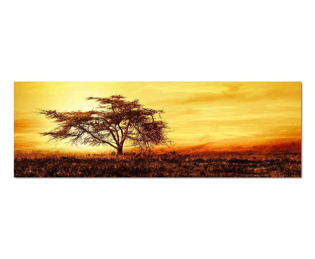 Panoramabild auf Leinwand und Keilrahmen 150x50cm Afrika Baum Silhouette Sonnenuntergang