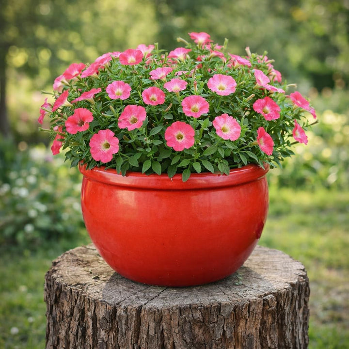 TucanoHamburg Blumentopf, Modell Bamboo in rot 50x32cm, frostfest