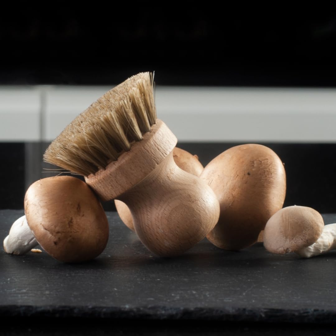 3X HOFMEISTER® Pilzbürste Champignonbürste Holz Naturborste - mit edlem Rosshaar, für alle Pilze gee