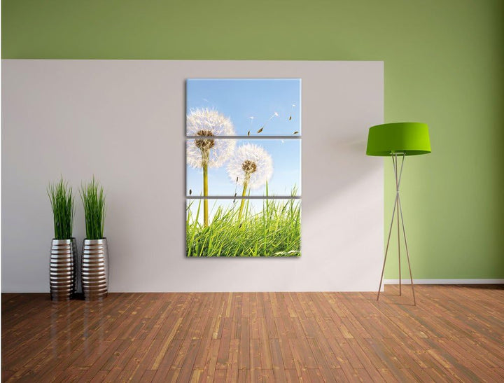 Pixxprint Pusteblumen auf sonniger Frühlingswiese 3-Teiler Leinwandbild 120x80 Bild auf Leinwand