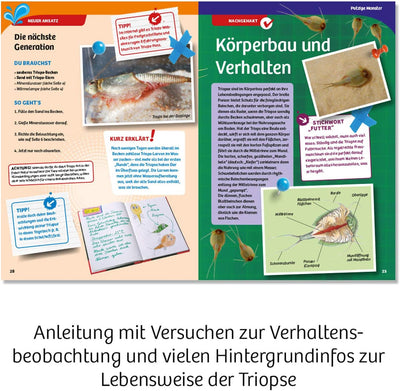 KOSMOS 633073 Triops-Welt, Leben aus der Urzeit. Urzeitkrebse erforschen. Komplett-Set mit extra gro