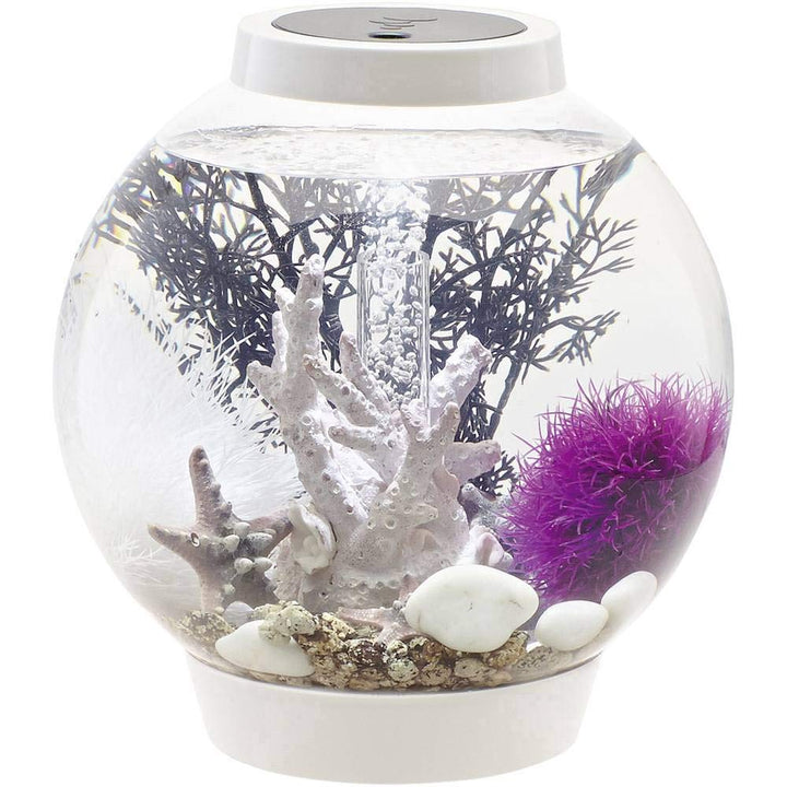 biOrb CLASSIC 15 LED Kugel-Aquarium, 15 Liter - Aquarien Komplett-Set mit LED Beleuchtung und patent