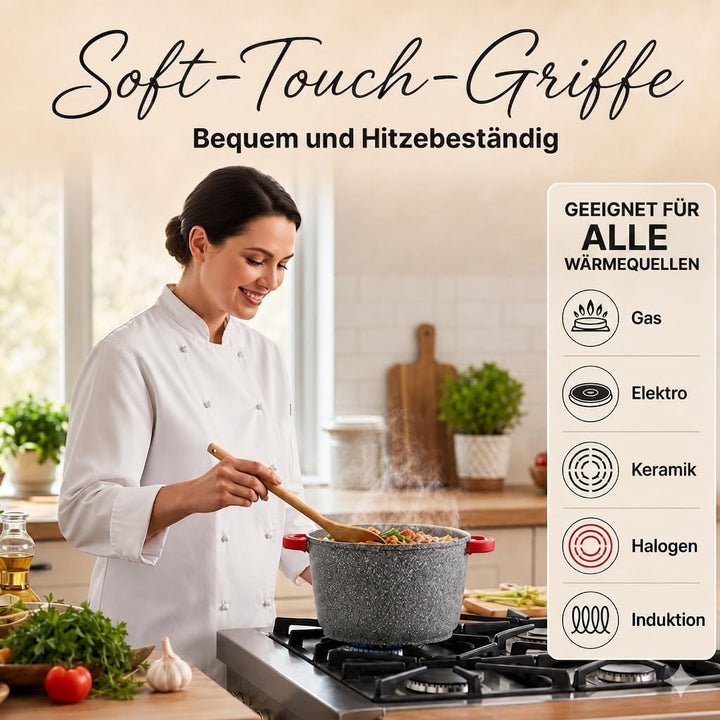 Royal Swiss® Suppentopf Ø24 cm – 6,2 L mit Glasdeckel – Edelstahl & Antihaftbeschichtung – Abnehmbar