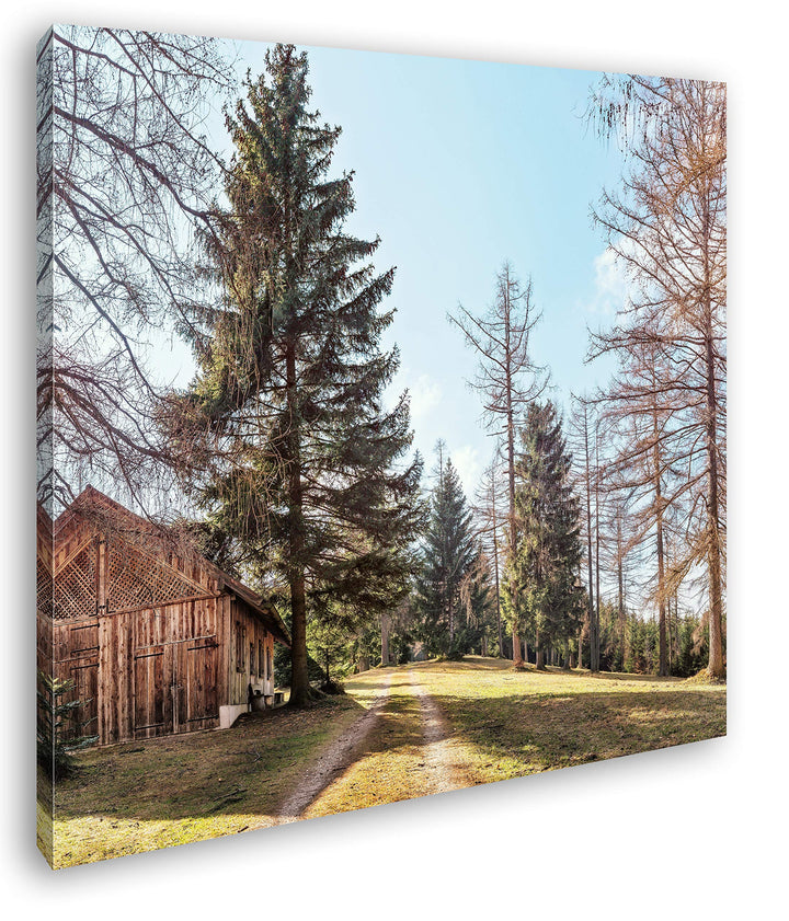 deyoli Alte Holzhütte im Wald Format: 70x70 als Leinwandbild, Motiv fertig gerahmt auf Echtholzrahme