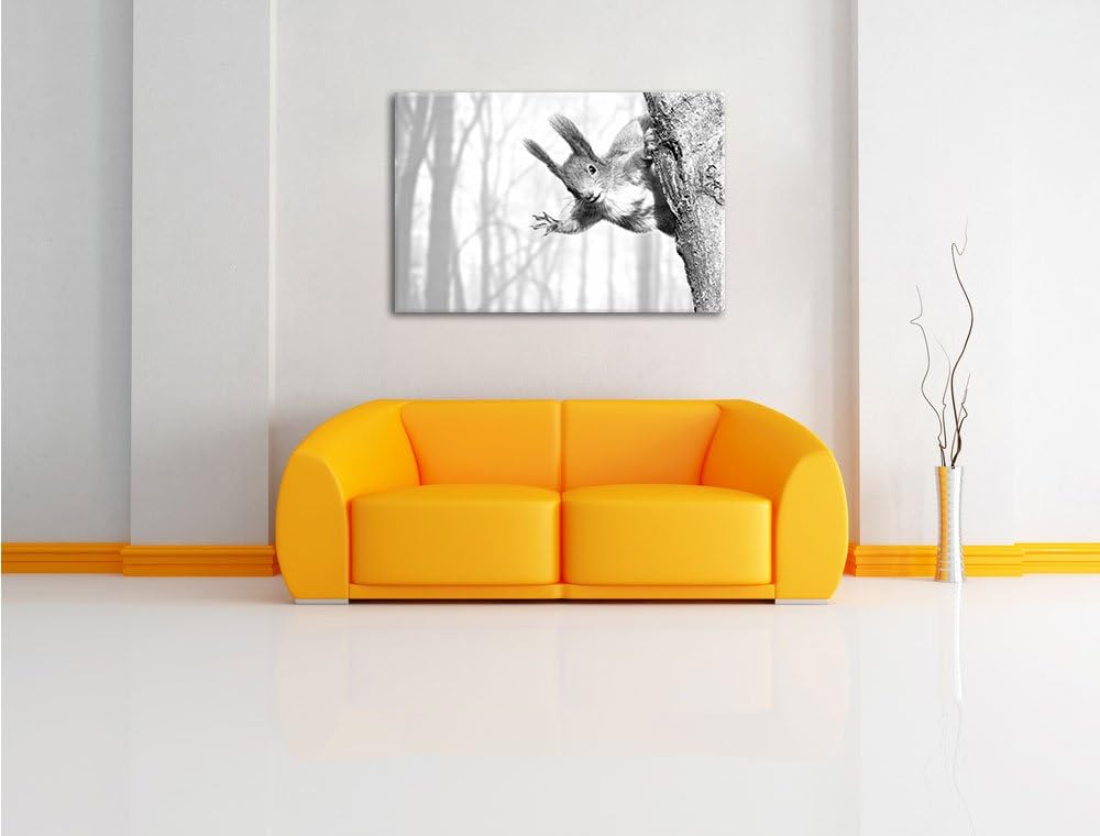 Pixxprint Eichhörnchen als Leinwandbild/Grösse: 100x70 cm/Wandbild/Kunstdruck/fertig bespannt, 100x7