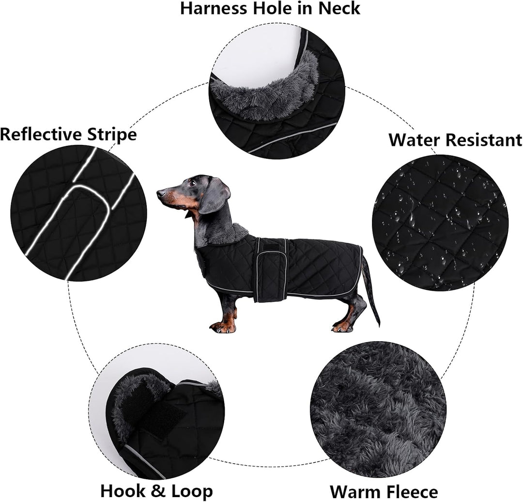 MOREZI Hundemantel Winter für Dackel - Wasserdichter Hunde Pullover mit Wolle Futter &amp; Verstellbaren