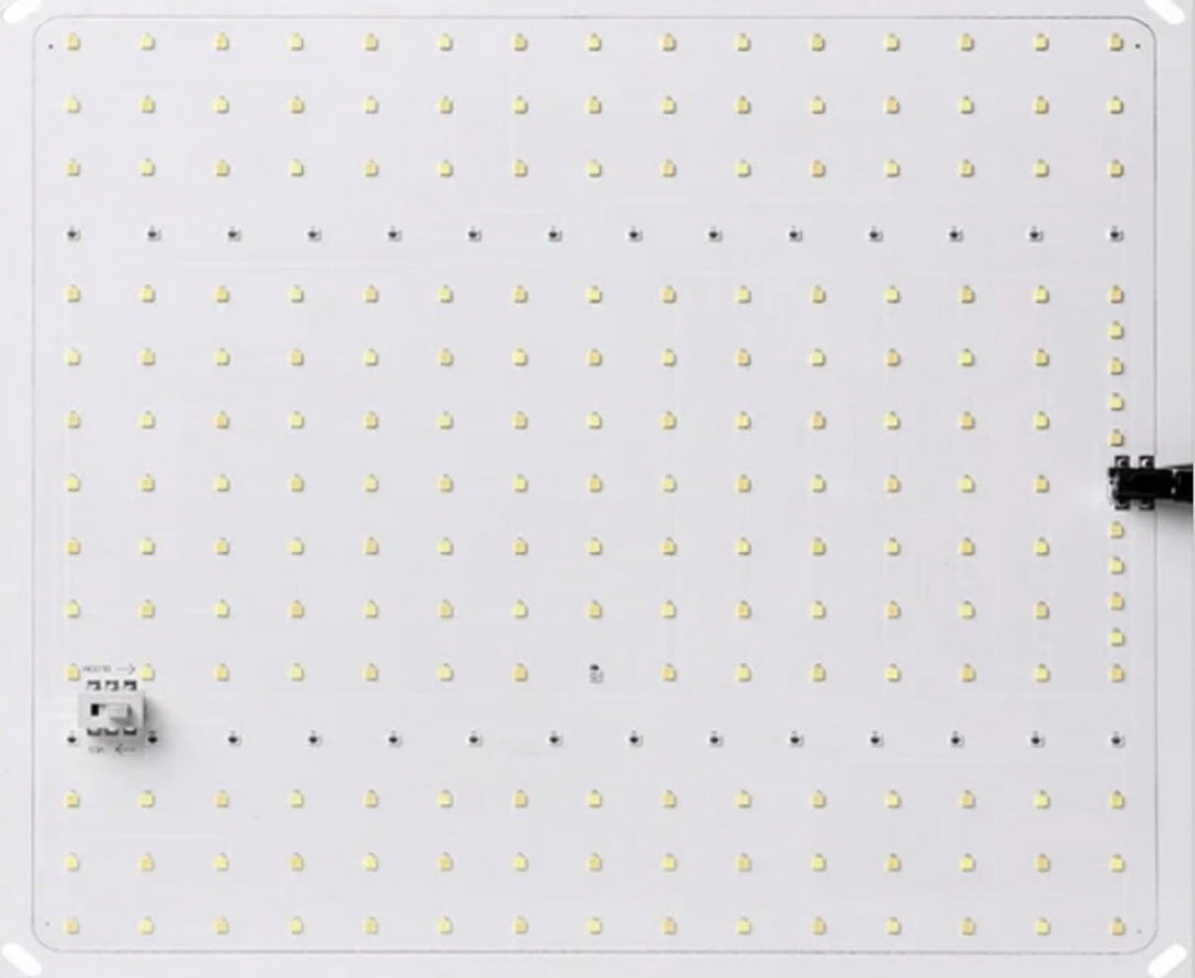 Hydro 600D Growzelt 150x150x200cm Anzucht Komplettset: Umfassendes LED Grow Tent Kit, inkl. Belüftun