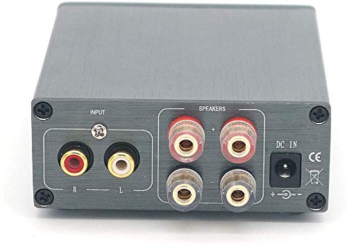 DollaTek mini verstärker Dual TPA3116 Digitaler Leistungsverstärker hifi-verstärker Stereo Audio Amp