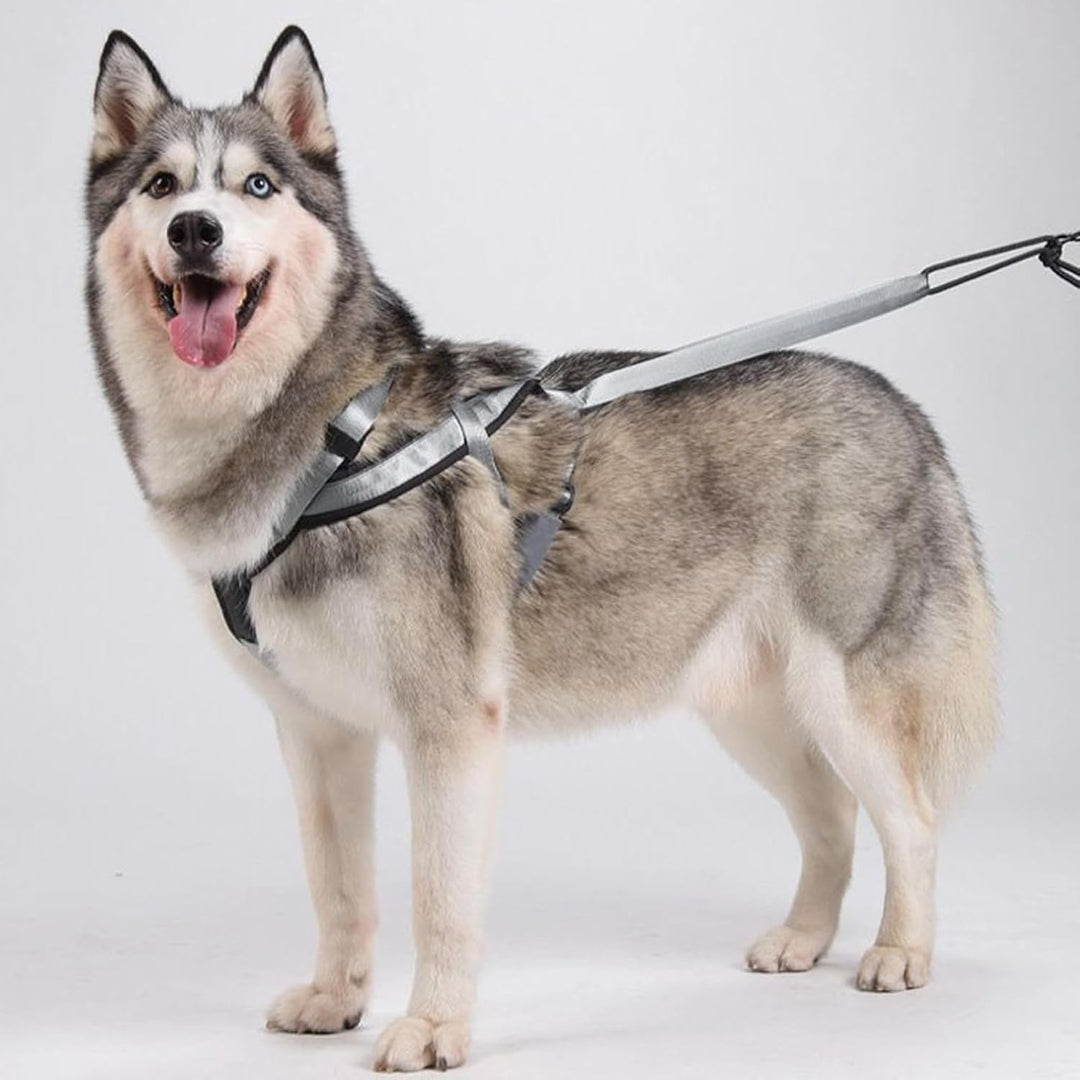 Zuggeschirr für Hunde | Reflektierendes Laufgeschirr für Hunde – Verstellbarer Gurt für Übung, Sport