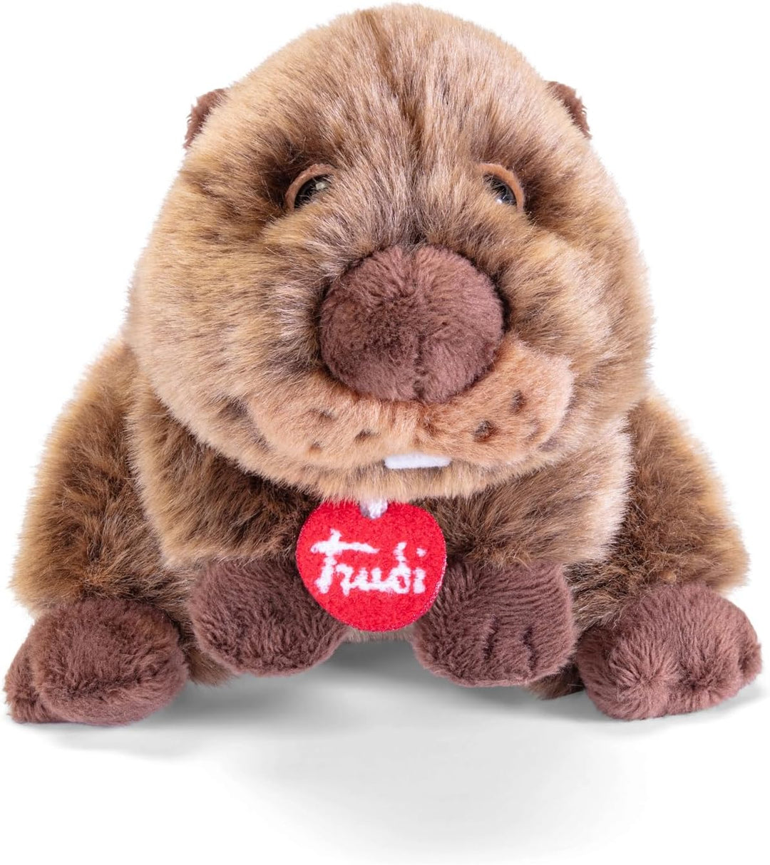 Trudi Trudino Bieber Ausgestopfter Nagetierbiber, Geburtstags 16x13x11cm Grösse XS | Trudini | Model