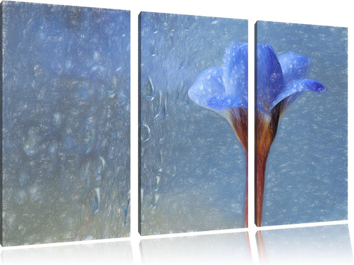 Pixxprint Blaue Frühlingsblume mit Tautropfen Kunst Buntstift Effekt 3-Teiler Leinwandbild 120x80 Bi