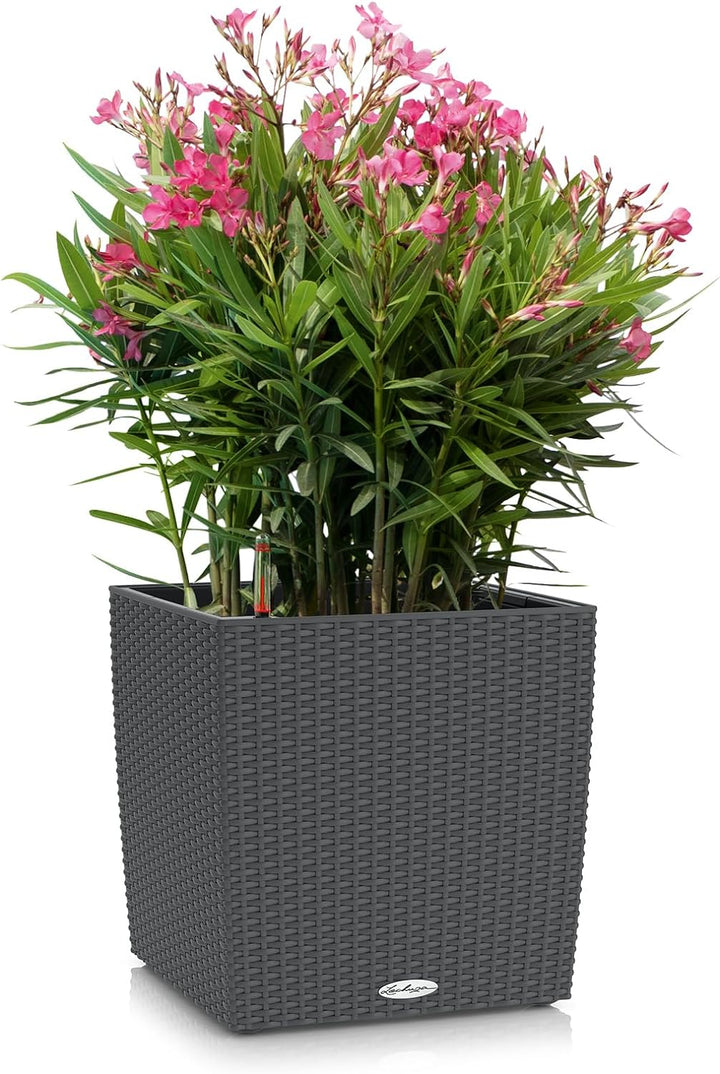 LECHUZA "CUBE Cottage 50" Pflanzgefäss mit Erd-Bewässerungs-System, Granit, 50 x 50 x 50