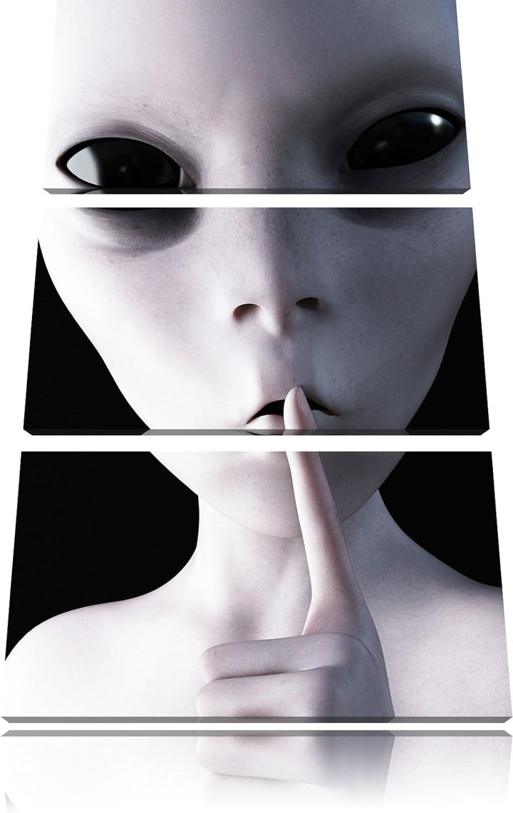 Pixxprint Alien - Nicht reden als Leinwandbild | Grösse: 3 Teilig (120x80) | Wandbild| Kunstdruck |
