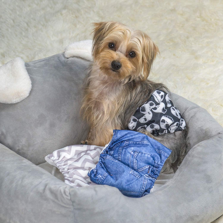 CuteBone Männlich Waschbare Hundewindeln Bauchbänder,3 Stück Wiederverwendbare hund bauchband für Rü