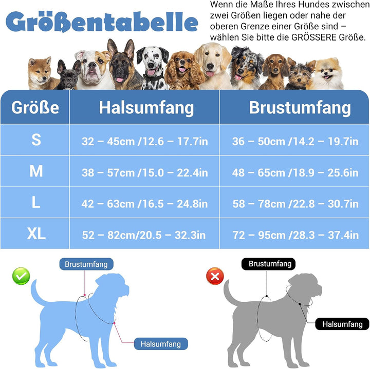 Funfox Hundegeschirr Kleine Hunde [S] - Anti Zug Welpengeschirr mit Griff &amp; Ringreflektoren, Atmungs