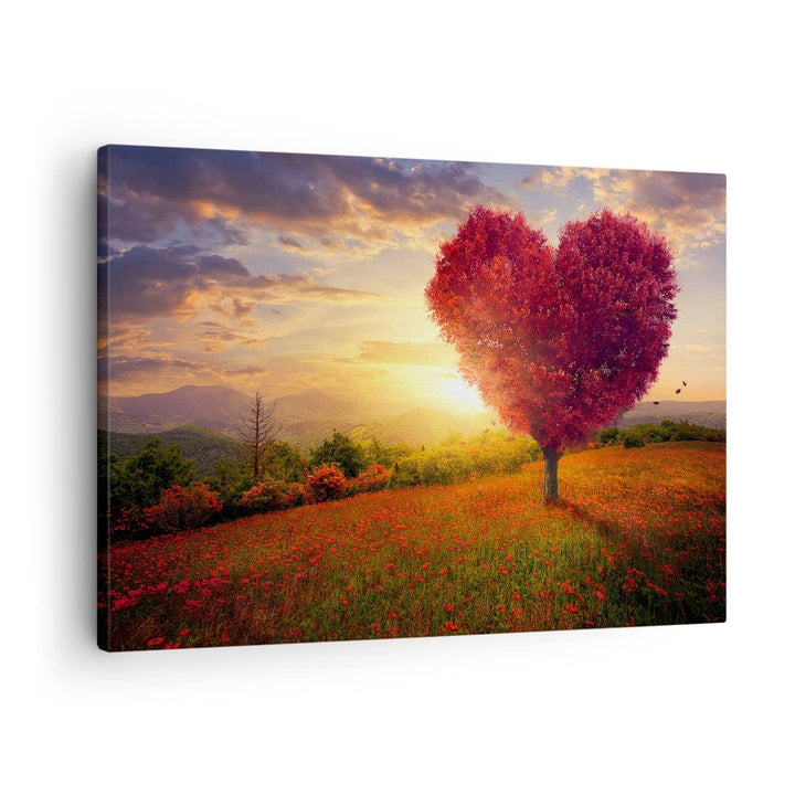 Bilder auf Leinwand Baum Wiese Blume Leinwandbild mit Rahmen 70x50cm Wandbilder Dekoration Wohnzimme