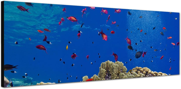 Paul Sinus Art Panoramabild auf Leinwand und Keilrahmen 120x40cm Meer Unterwasser Riff Korallen Fisc