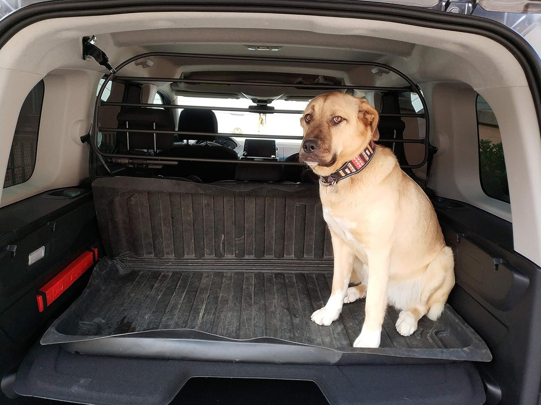 ERGOTECH Trenngitter Hundegitter für PEUGEOT Rifter (ab BJ 2018), RDA65HBG-XXL, für Hunde und Gepäck