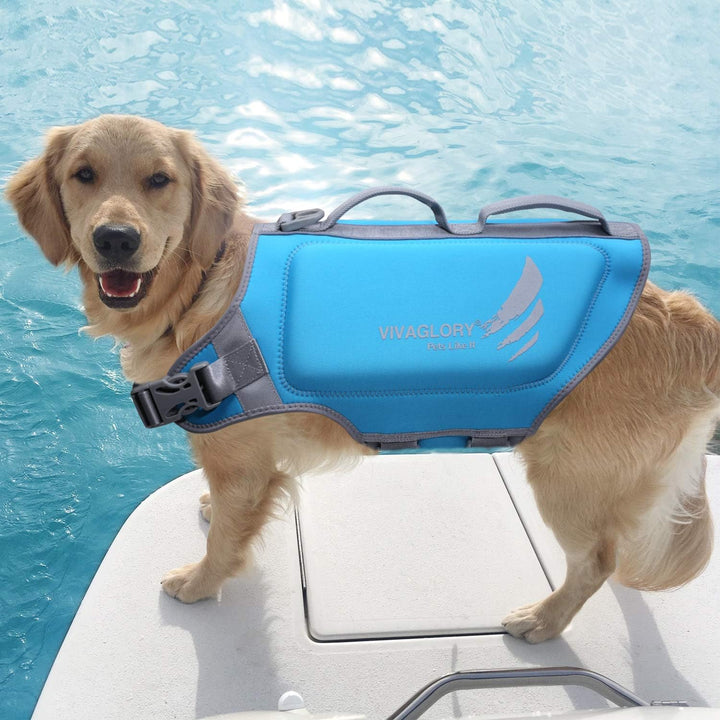 VIVAGLORY High Buoyancy Schwimmweste Hund, Rettungsweste, Hundeschwimmweste für Bootfahren, Schwimmh