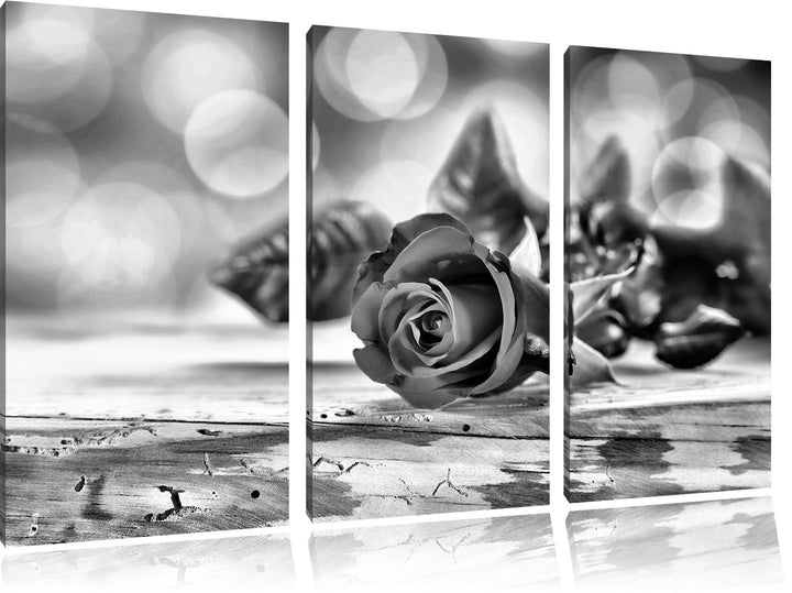 Pixxprint Rose auf Holztisch als Leinwandbild/Grösse: 3 Teilig (120x80) cm/Wandbild/Kunstdruck/ferti