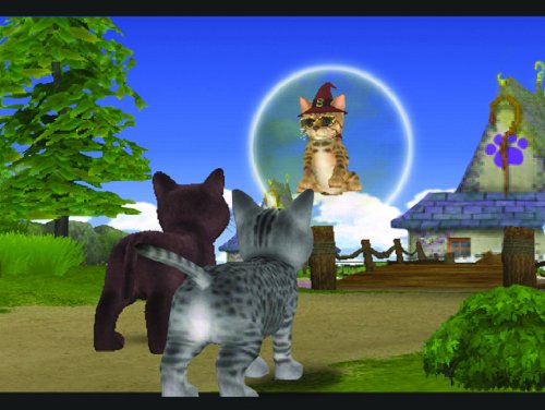 Petz - Katzenfreunde