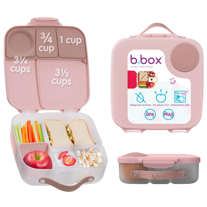 b.box Brotdose | Grosse Bento-Box mit 4 Fächern (2 auslaufsicher), herausnehmbarer Trenner, Gel-Kühl