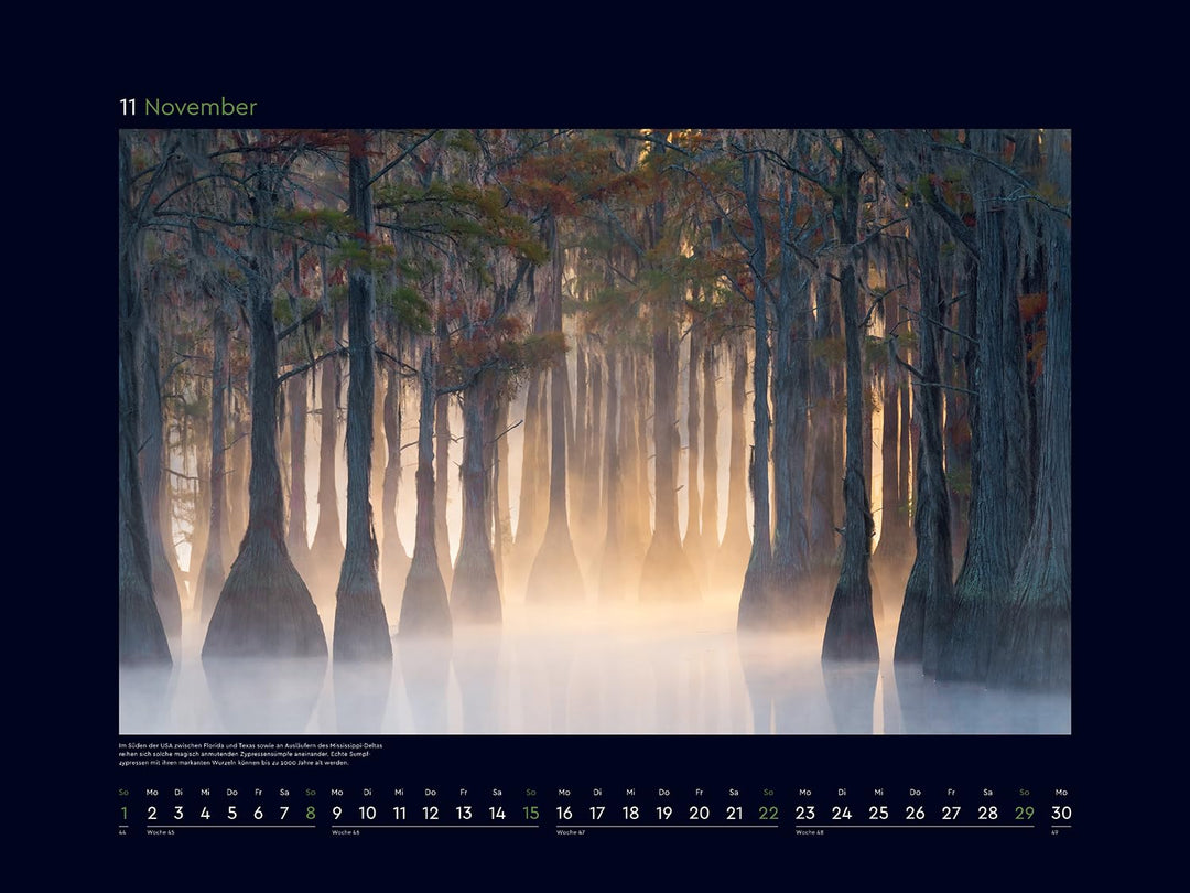 Magische Wälder der Erde - KUNTH Wandkalender 2026: Hochwertiger, bildstarker Kalender mit Spiralbin