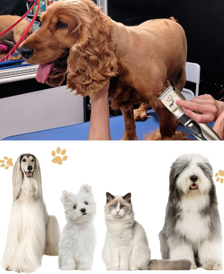 Elektrische Hundetrimmer Schnurlosen, Professionelle Hunde-Haarschneidemaschine, Hunde-Haarschneidem