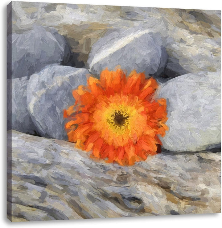 Pixxprint kleine Gerbera zwischen Zen Steinen, Format: 70x70 als Leinwandbild, 70x70
