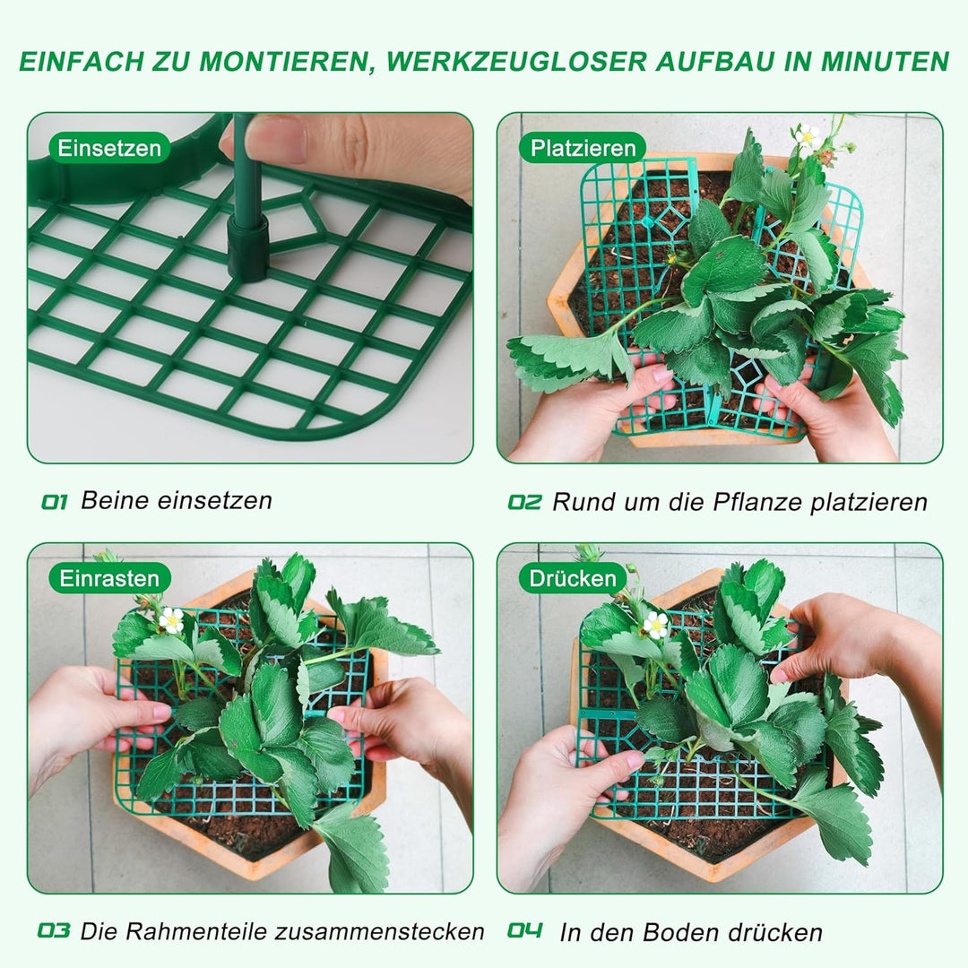 Erdbeer Pflanzenstützen, 10er Set Quadratisch, Erdbeerständer hält Erdbeer vom Boden fern, Wiederver