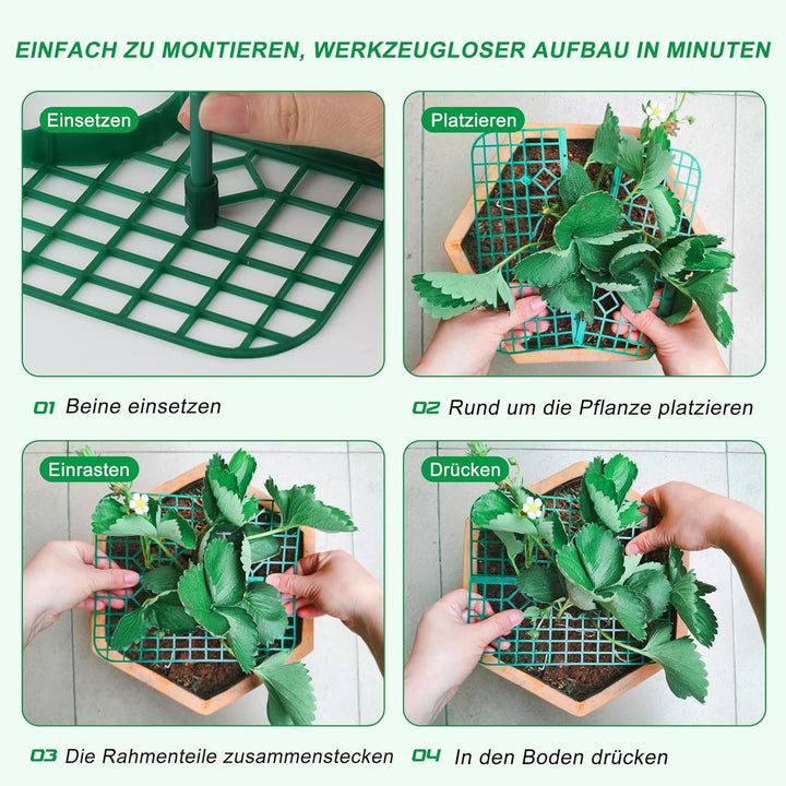 Erdbeer Pflanzenstützen, 10er Set Quadratisch, Erdbeerständer hält Erdbeer vom Boden fern, Wiederver