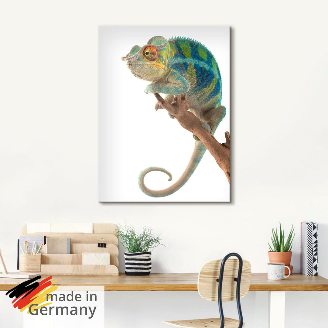 ARTland Glasbilder Wandbild Glas Bild einteilig 45x60 cm Hochformat Natur Afrika Tiere Reptilien Mad
