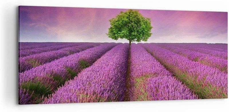 Wandbilder Dekoration Wohnzimmer Wiese lavenda Sommer Landschaft Panorama Bilder auf Leinwand 120x50