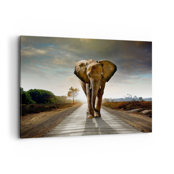 Bilder auf Leinwand 100x70cm Leinwandbild Elefant Strasse Landschaft Gross Wanddeko Bild Schlafzimme