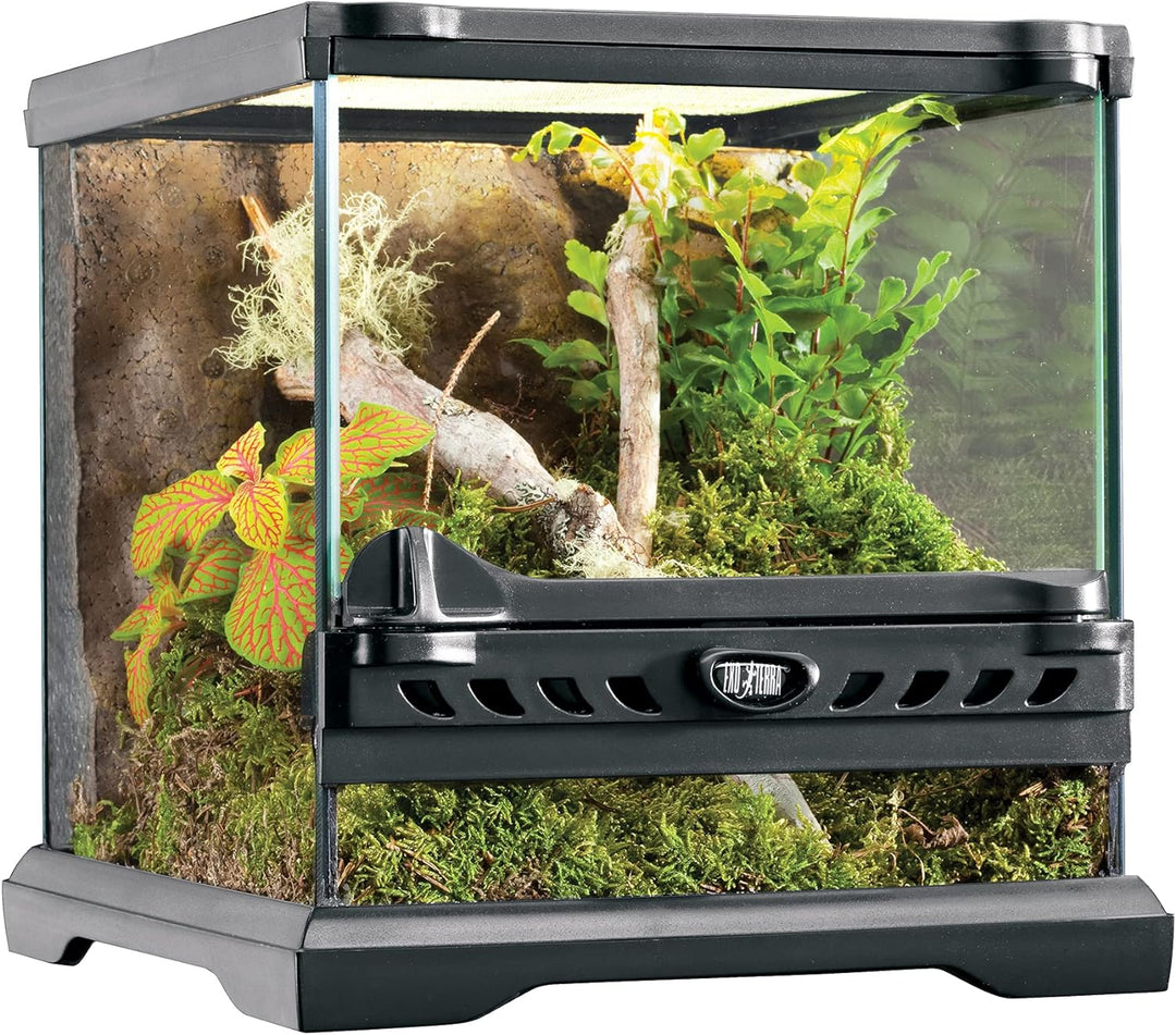 Exo Terra Terrarium aus Glas, mit einzigartiger Front Belüftung, 20 x 20 x 20cm & Compact Top, Terra