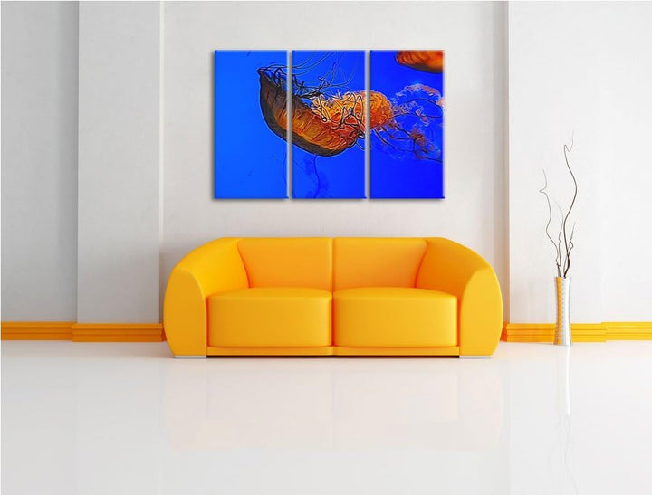 anmutige Qualle im Wasser NewArt 3-Teiler Leinwandbild 120x80 Bild auf Leinwand, XXL riesige Bilder