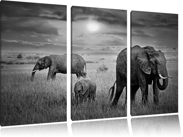 Pixxprint Elefanten bei Sonnenuntergang in der Savanne Kunst B&W 3-Teiler Leinwandbild 120x80 Bild a