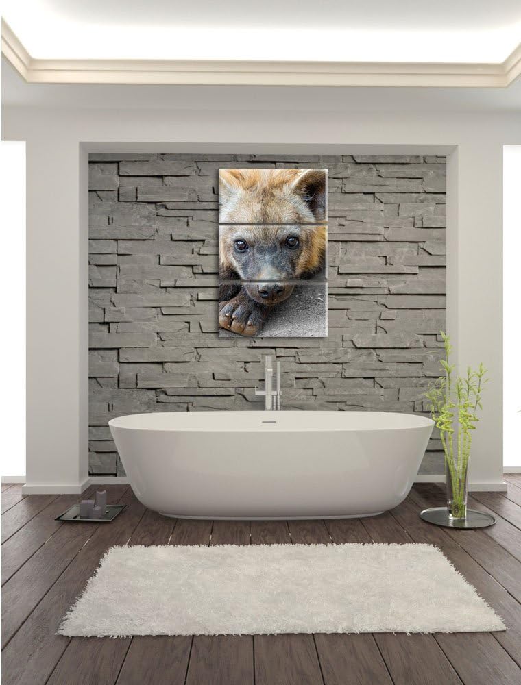 Pixxprint niedliche kleine Hyäne als Leinwandbild/Grösse: 3 Teilig (120x80) cm/Wandbild/Kunstdruck/f