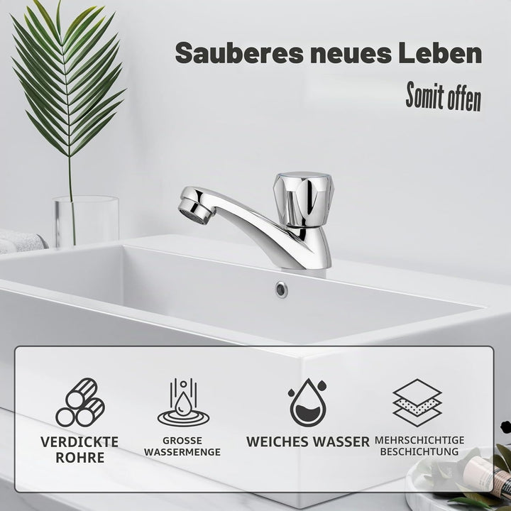 Bifordo Wasserhahn für das Waschbecken,Edelstahl Bad Wasserhahn nur kalt,Club Wasserhahn,Chrom Wasse