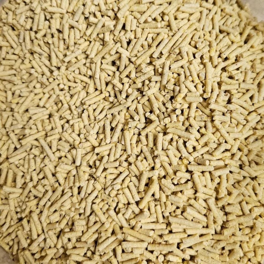 Maisstreu Katzenstreu 30 kg (10 Säcke je 3 kg), 80 L – 100% natürlich &amp; biologisch abbaubar – klumpe
