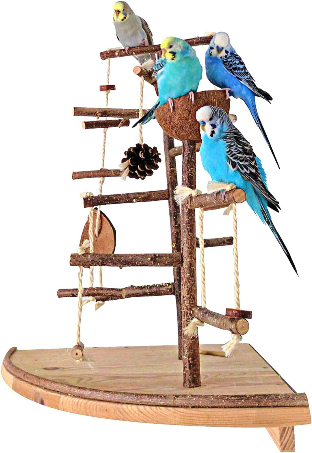 Vogelgaleria® Premium Vogelspielplatz gross für die Wand-Montage | 2 abnehmbare Natur Kletterbäume a