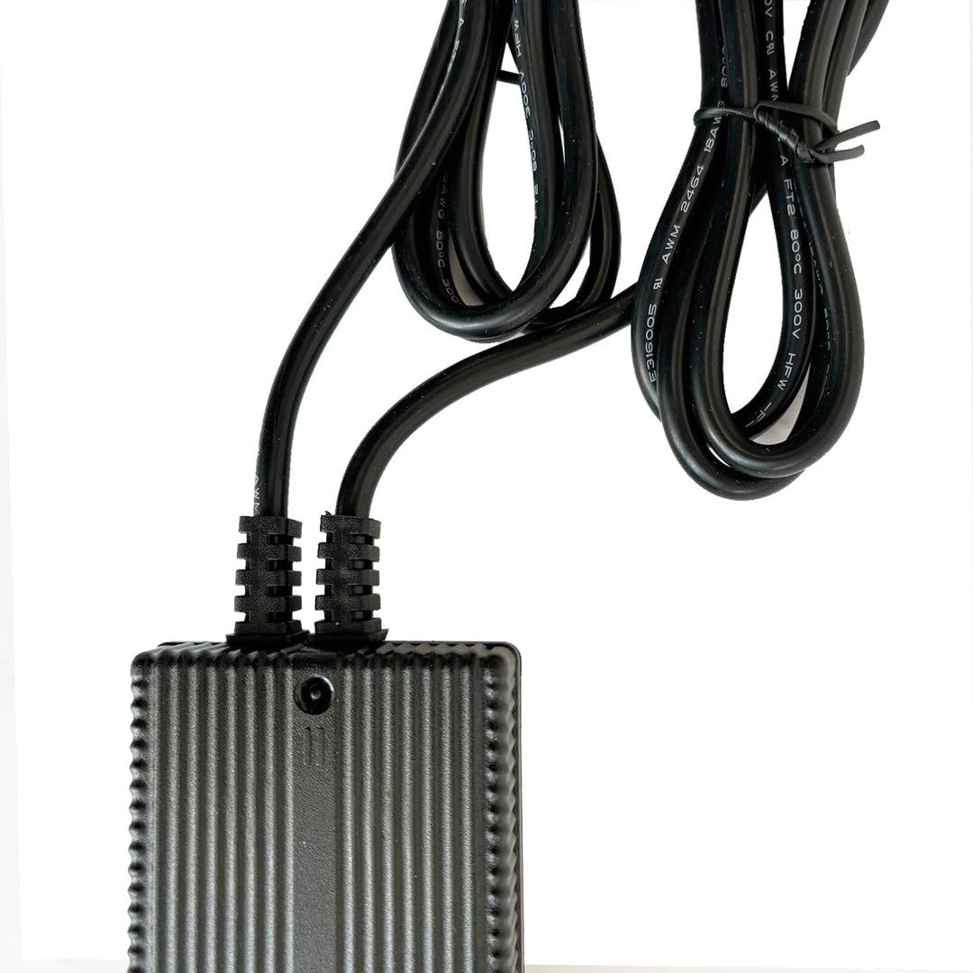 Enerpower Li-Ion Duales Ladegerät 36V ersetzt Derby Cycle Impulse 2A -XLR-4 für Kalkhoff, Raleigh Do