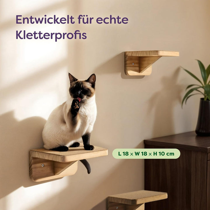 Katzen Kletterwand 3er Set – FSC® Kiefernholz für Spiel &amp; Abenteuer – Stabile Katzentreppe bis 30 kg