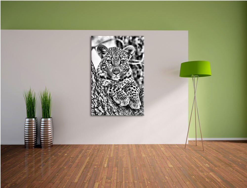 Monocrome, Leopardenbaby, Format: 100x70 auf Leinwand, XXL riesige Bilder fertig gerahmt mit Keilrah