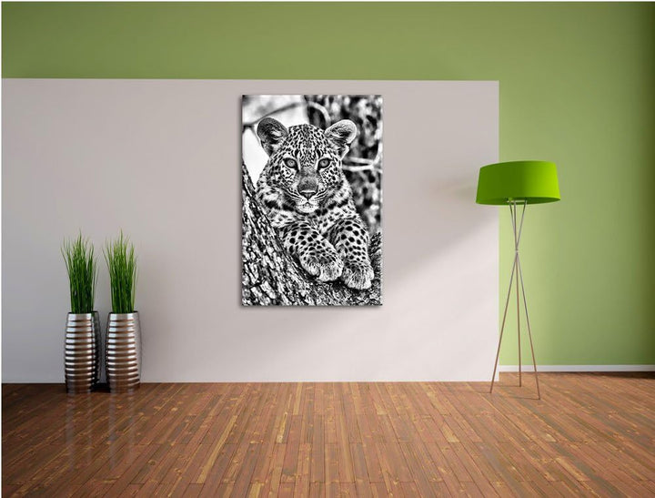 Monocrome, Leopardenbaby, Format: 100x70 auf Leinwand, XXL riesige Bilder fertig gerahmt mit Keilrah
