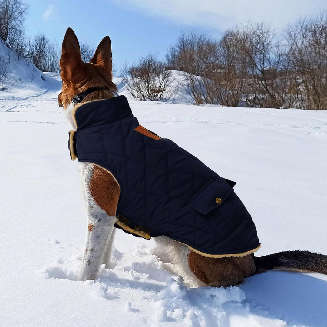 CITÉTOILE Wintermantel Hundemantel, Warme Winterjacken mit Fleece für Hunde,Hundejacke Hundekleidung