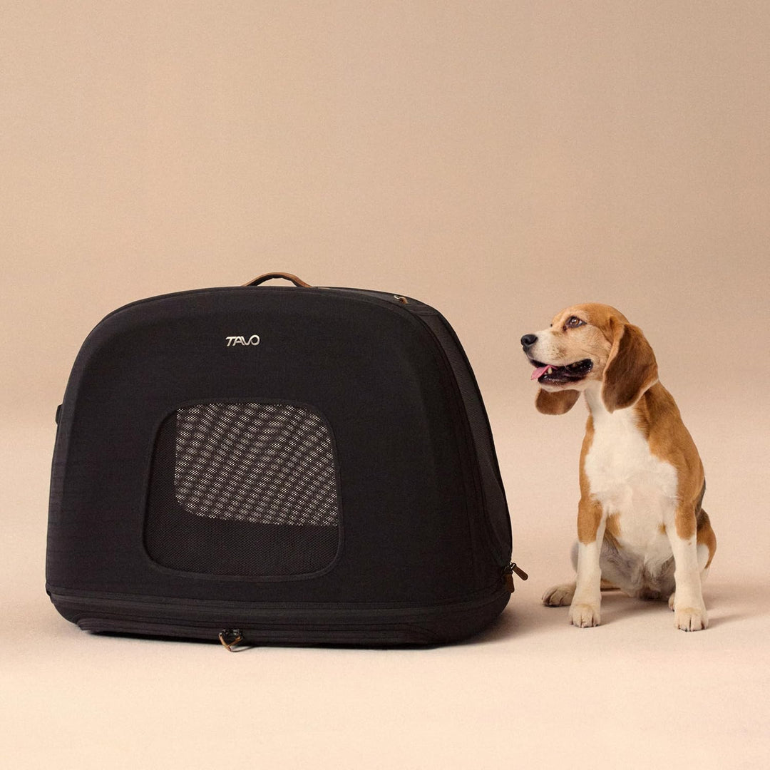 Tavo Crispin Haustier-Transportbox Medium – Crash-getestete Auto-Transportbox für Hunde & Katzen, IS