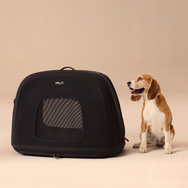 Tavo Crispin Haustier-Transportbox Medium – Crash-getestete Auto-Transportbox für Hunde & Katzen, IS