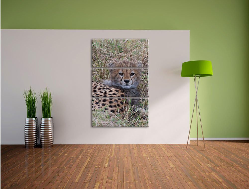 Pixxprint süsse Junge Geparden im Gras / 3-Teilig/Gesamtmass 120cm Leinwandbild bespannt auf Holzrah